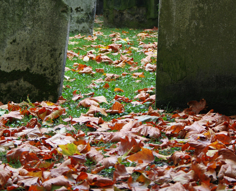 Autumn Colours - (c) Solar Worlds Digital Photography