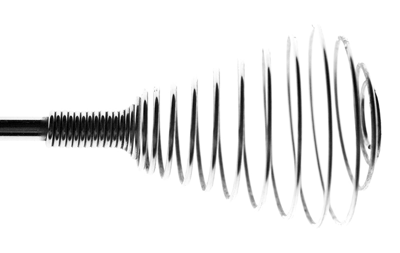 Whisk - (c) Solar Worlds Digital Photography