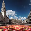 Flower Carpet Display at Grande Place in Brussels - (c) Solar Worlds Photography